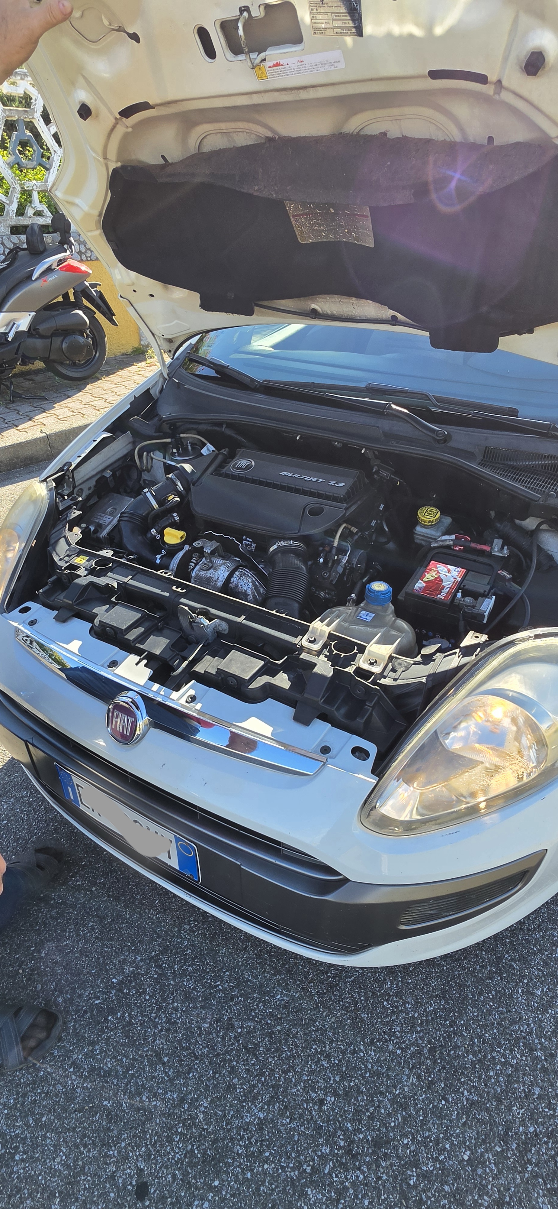 Fiat punto EVO 1.3 multijet 90cv